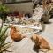 Sadie's Bed and Breakfast / Hotel - تيخوانا