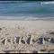 Alzohour Family condo with panoramic sea view