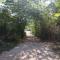 GREENSPACE