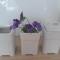 Apartamenty Pisakowe - Apartament Śledzik