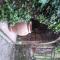 Princess B&B Frascati