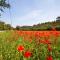 Les collins du sud 2 - Peyrolles-en-Provence