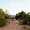 Goldener Strand