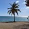 Mels Art Place by Coastal View7