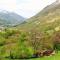 Le Chal'home, montagne et nature - Campan