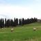Agriturismo La Collina