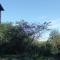 Cabaña Mburucuya