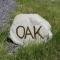 Oak