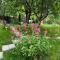 Guest house poligloti