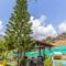 Finca el Albero
