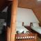 Guesthouse Kroni I Micanit