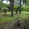 Arusha Holiday Safari
