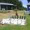 Catlins Newhaven Holiday Park