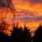 Torcroft Lodges