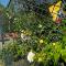 ApartmentVillaSolomon7 - Dunakanyar Apartman Visegrád Panorámás