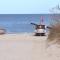 Strandläufer Zempin