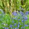 Wray Valley