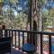 Shepherds Cabin - Gambrel cabin, spacious while still being cozy and inviting!