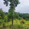 Lipis Riverfront Resort