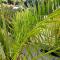 VUE MER IMPRENABLE ET PISCINE - 邦多勒