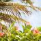 Caribbean Flower Apartments