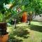 GreenHouse_Anzio