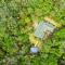 Hutan Subur Guest House and Volunteering