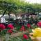 Guest House Green Rose