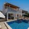 House with pool Lile