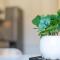 La Bohème, appartement chaleureux et décoré avec goût