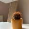 Apartman Teodora - Subotica