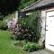 Apple Tree Cottage