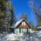 Oak Nesting - Great chalet style cabin at the end of the street with rustic stone gas log fireplace! - Big Bear Lake