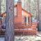 Cottage in the Pines - Great place to stay and close to everything! With Slope views! - بيغ بير لاكي