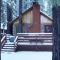 Cottage in the Pines - Great place to stay and close to everything! With Slope views! - بيغ بير لاكي