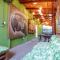 Local Hostel Manaus