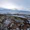 Sea & Sky Vestfjord Panorama - Лёдинген