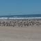 Caparica Holidays - 沙尔内卡