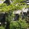 Olive Tree Cottage