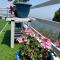 Wincliff Orchard Resort