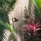 A tropical paradise; stunning house, pool, garden