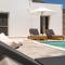 Cycladic Breeze Villas - Kampos
