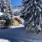 Chalet LA SOURCE - Cohennoz