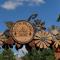 Cocoon Village - Glamping - Domaine des Grottes de Han