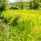 Ultimate Constable Country rural retreat - The Pump House