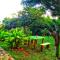 Windy View Guest House