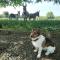 The Wandering Donkey Guest House