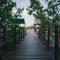Bluebayou Bacalar