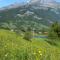 Chalet LA SOURCE - Cohennoz