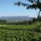 Domaine du Coffre